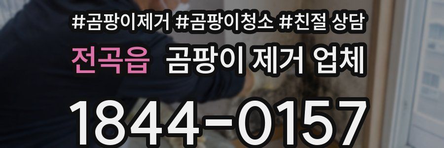 전곡읍 곰팡이 제거 업체