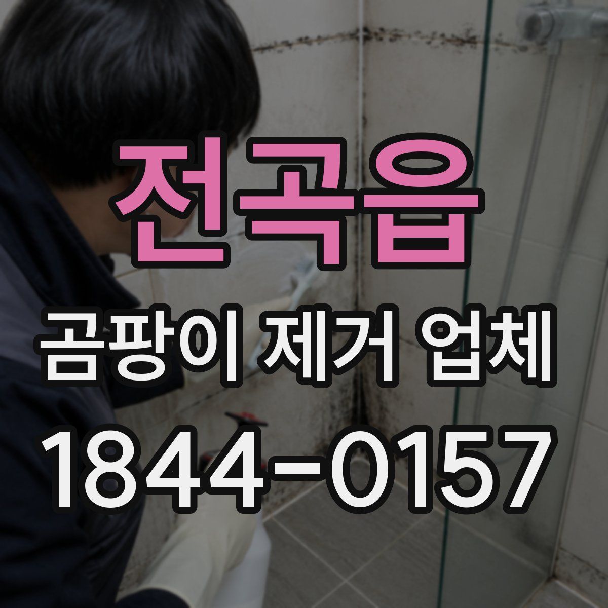 전곡읍 곰팡이 제거 업체