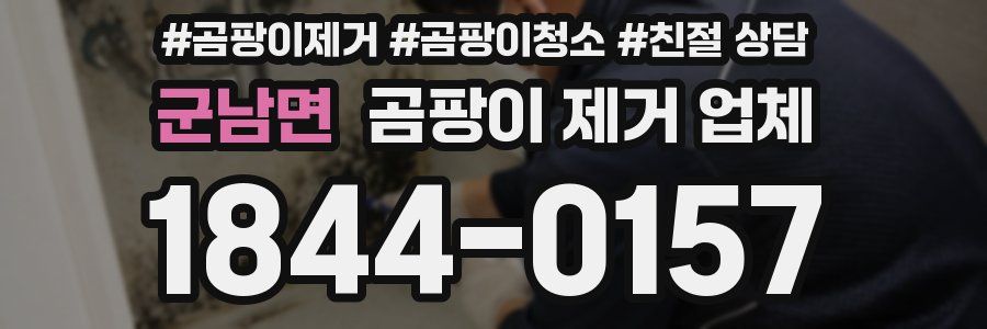 군남면 곰팡이 제거 업체