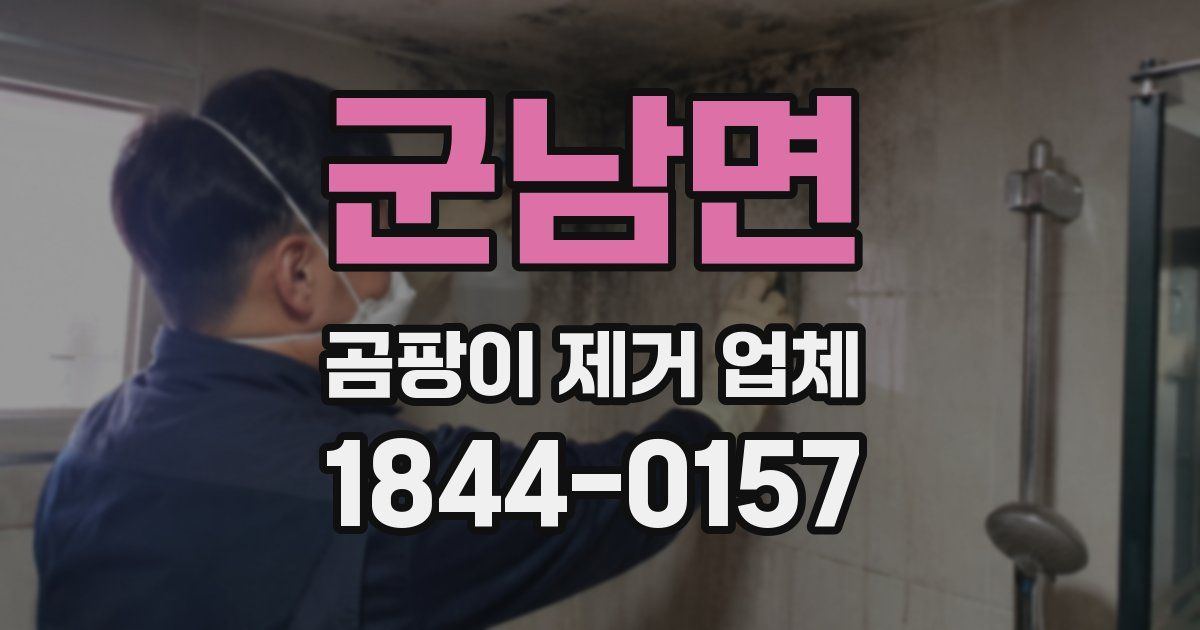 군남면 곰팡이 제거 업체