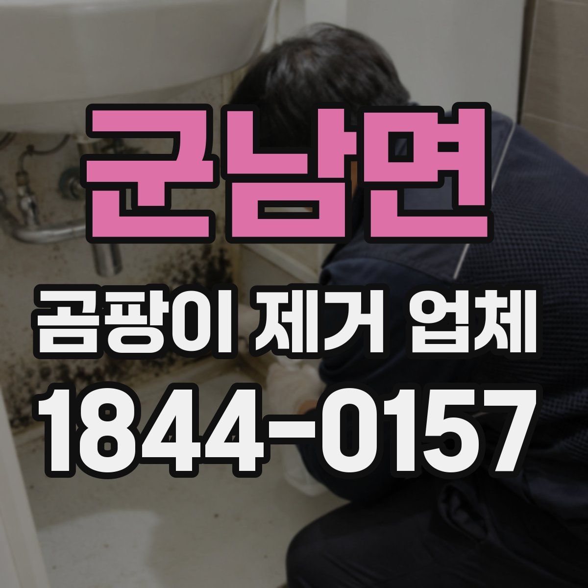 군남면 곰팡이 제거 업체