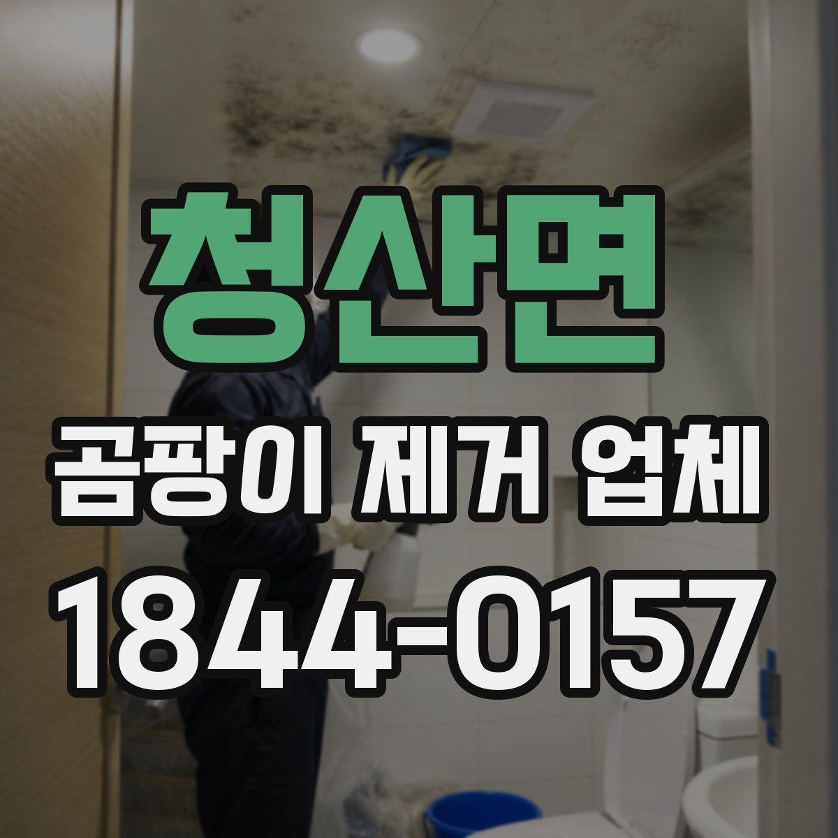 청산면 곰팡이 제거 업체