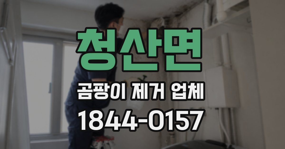 청산면 곰팡이 제거 업체