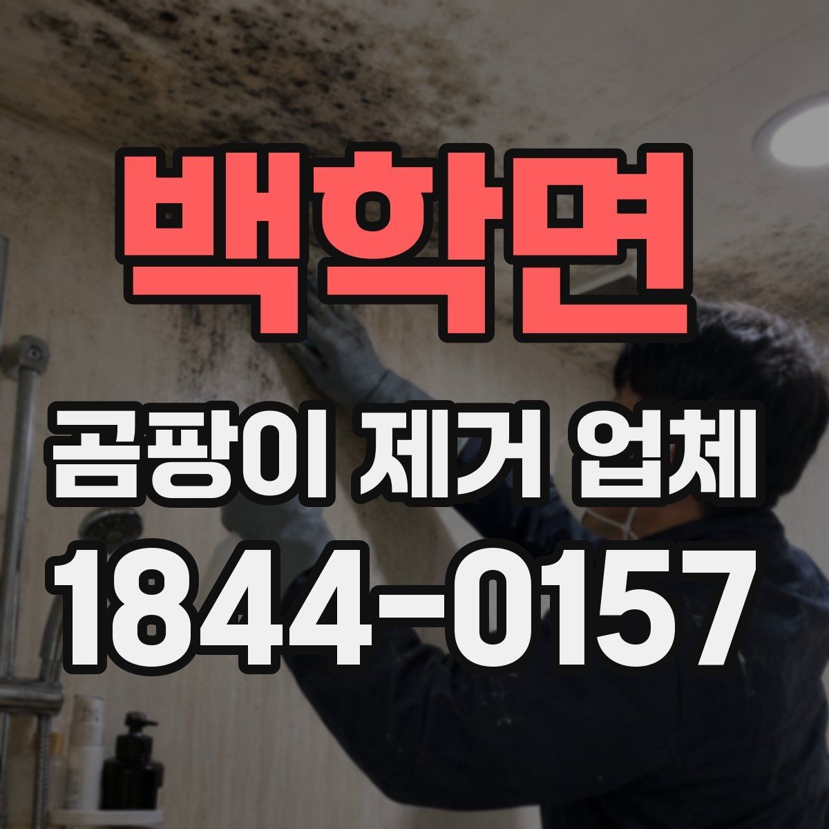 백학면 곰팡이 제거 업체 견적서에서 봐야 할 내용
