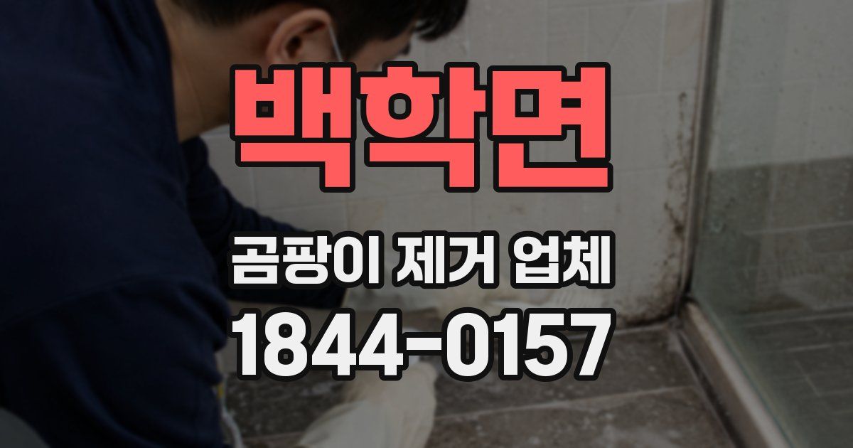 백학면 곰팡이 제거 업체