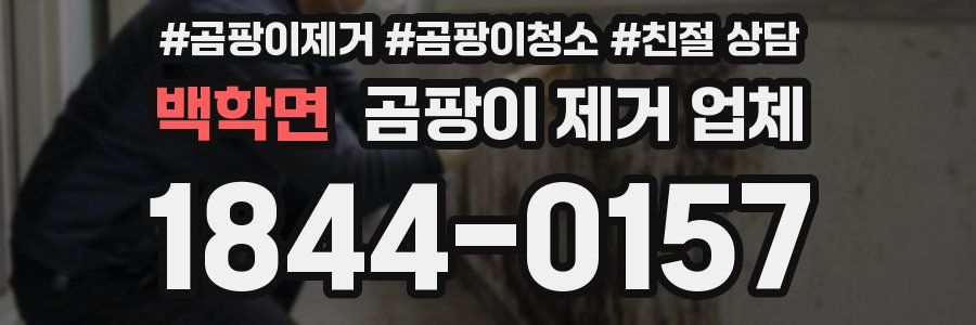 백학면 곰팡이 제거 업체