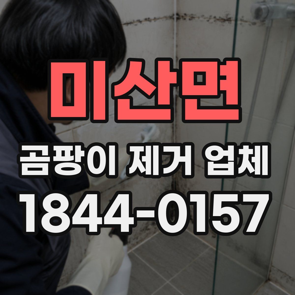 미산면 곰팡이 제거 업체