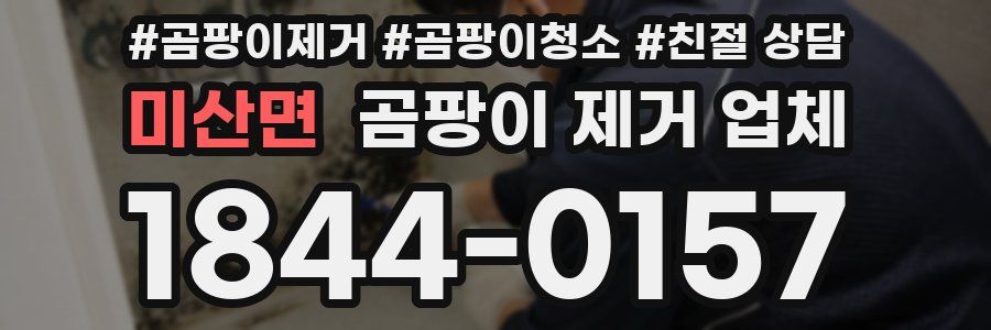 미산면 곰팡이 제거 업체