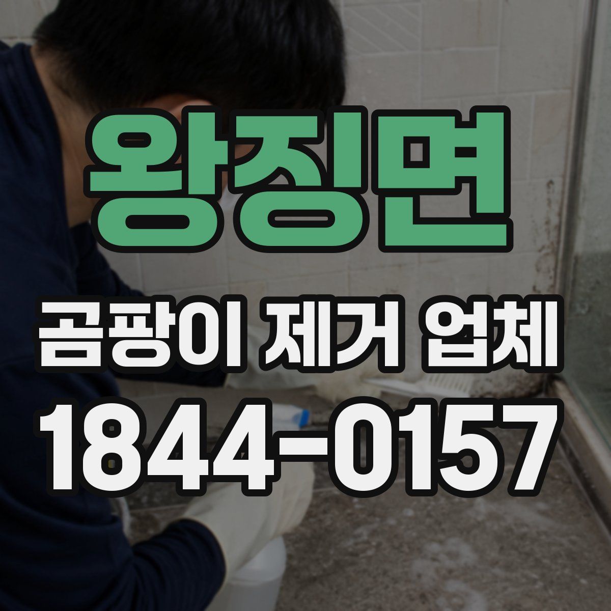 왕징면 곰팡이 제거 업체