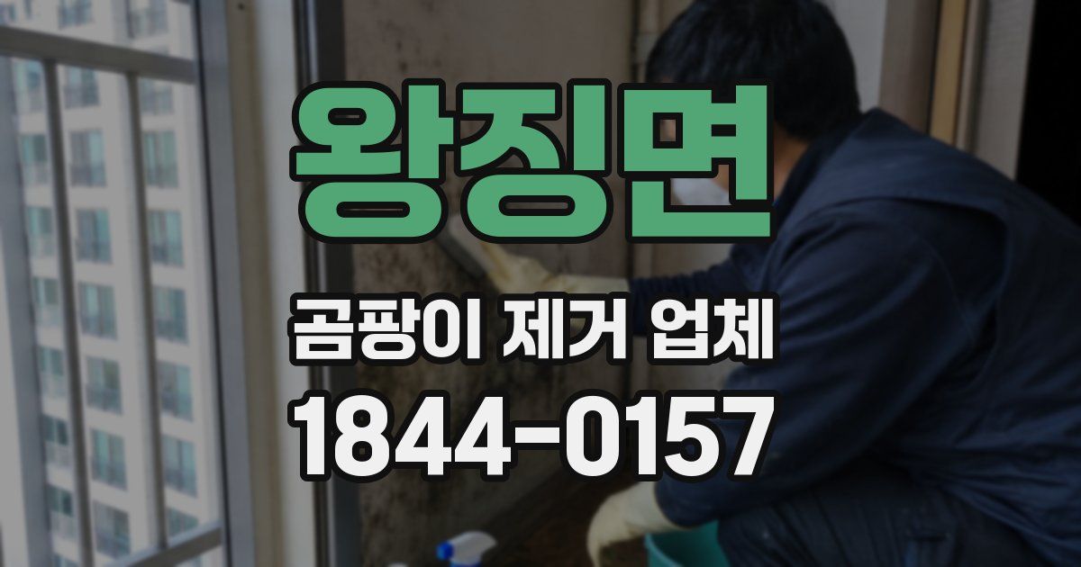 왕징면 곰팡이 제거 업체