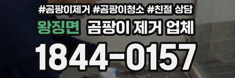 왕징면 곰팡이 제거 업체