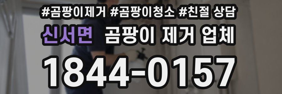 신서면 곰팡이 제거 업체