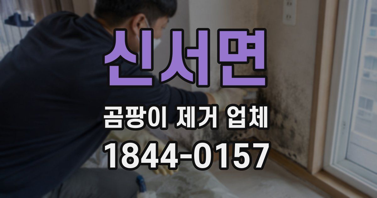 신서면 곰팡이 제거 업체