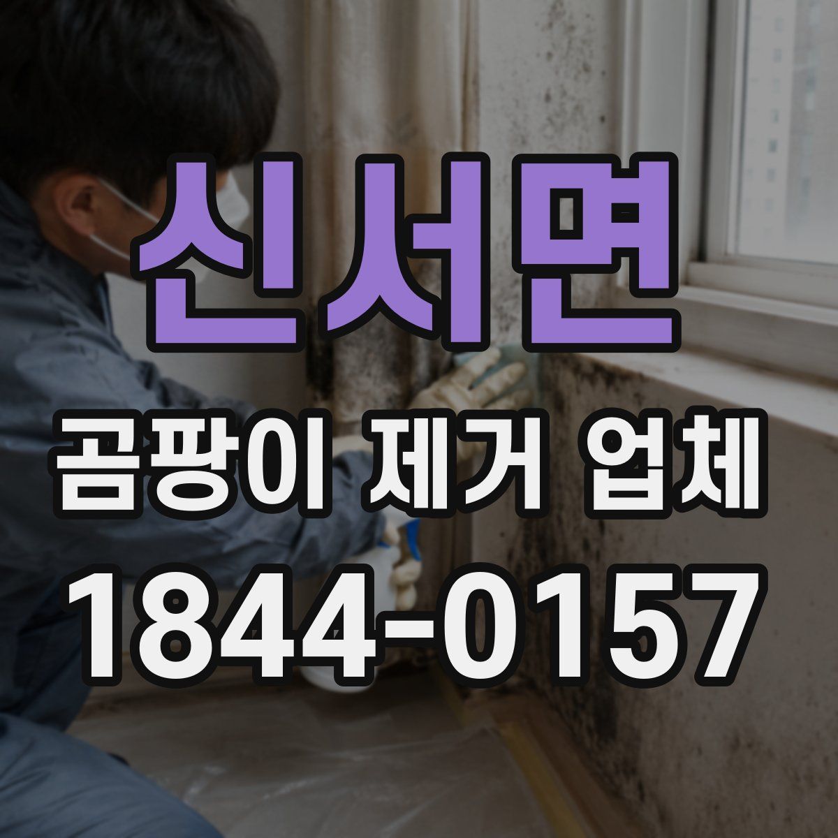 신서면 곰팡이 제거 업체