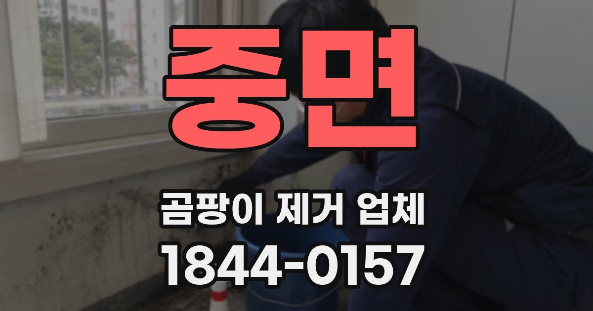중면 곰팡이 제거 업체