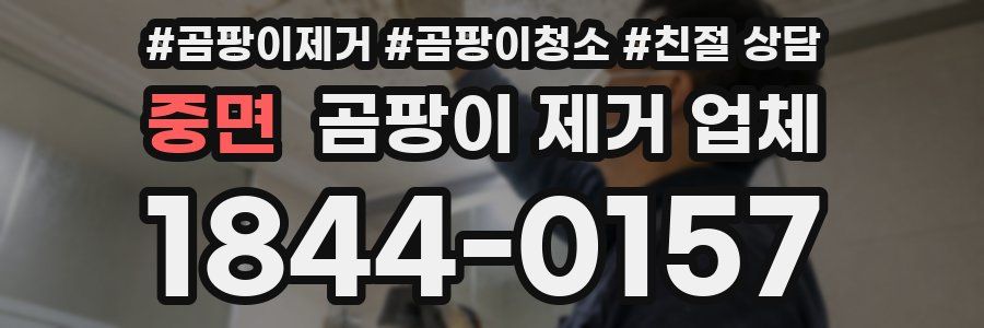 중면 곰팡이 제거 업체