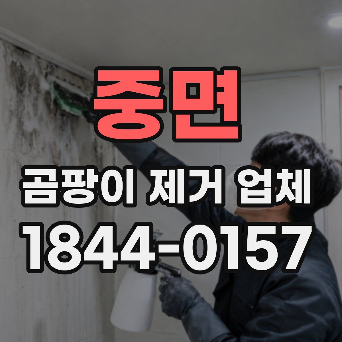 중면 곰팡이 제거 업체