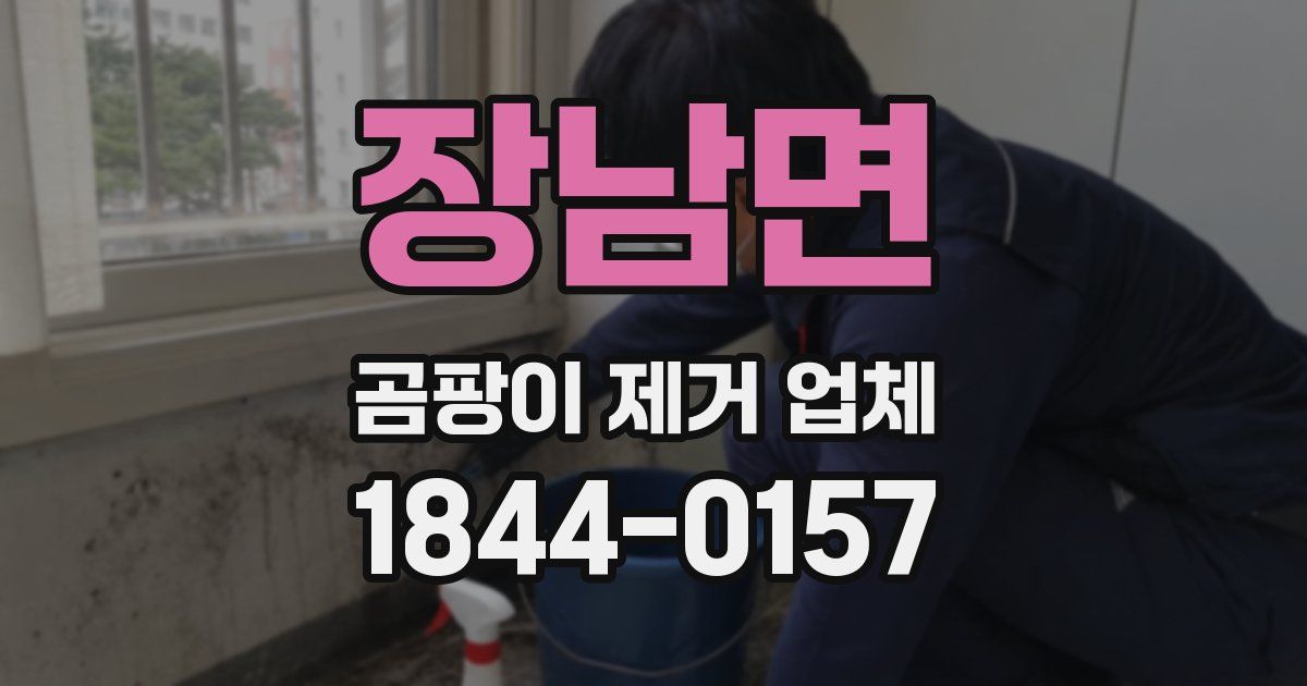 장남면 곰팡이 제거 업체