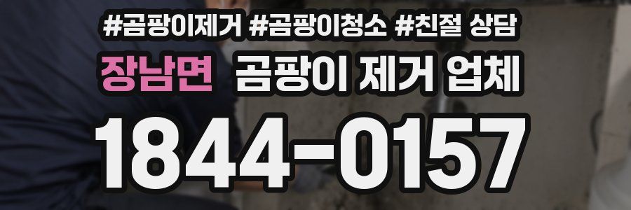 장남면 곰팡이 제거 업체