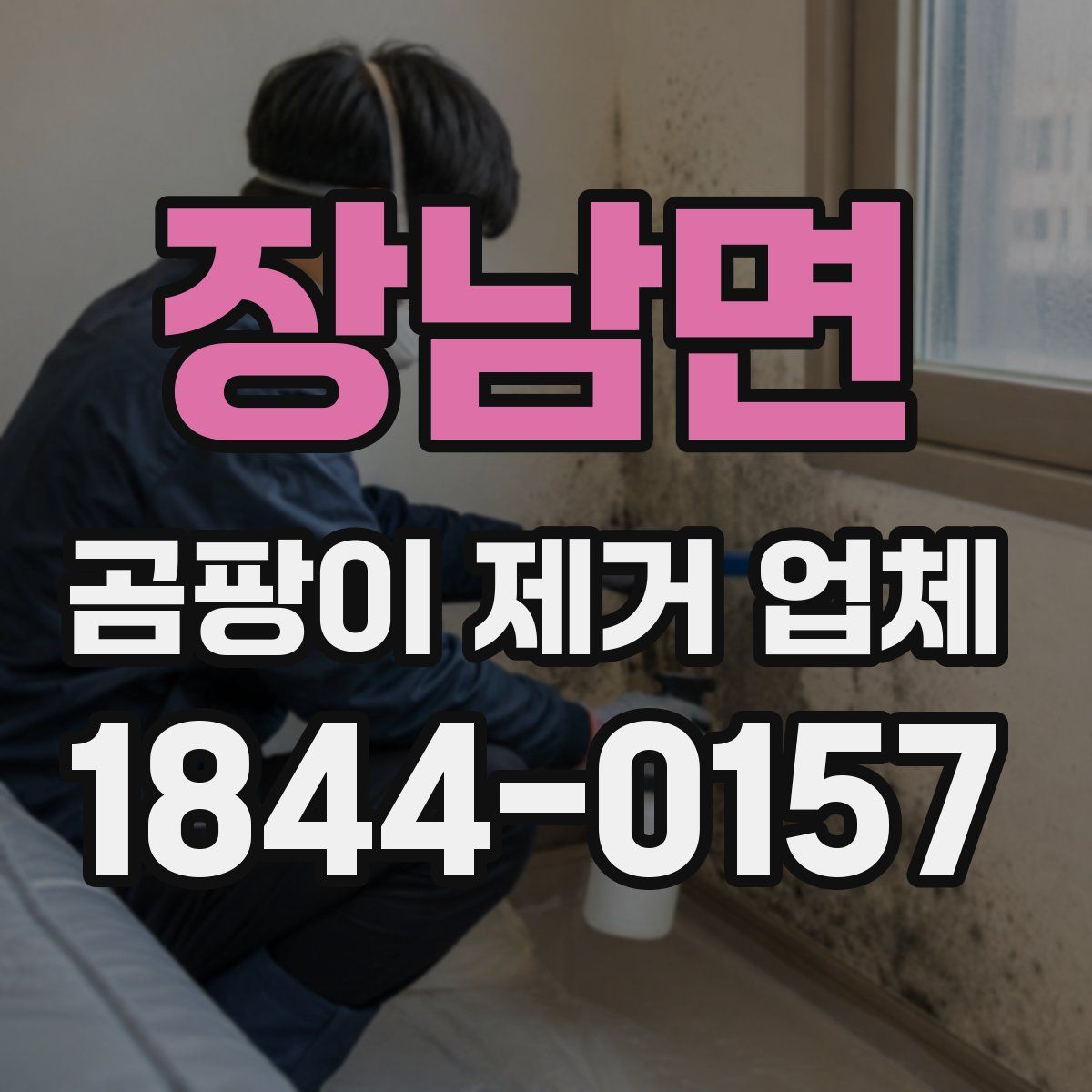 장남면 곰팡이 제거 업체