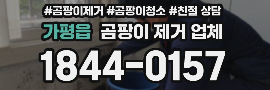 가평읍 곰팡이 제거 업체