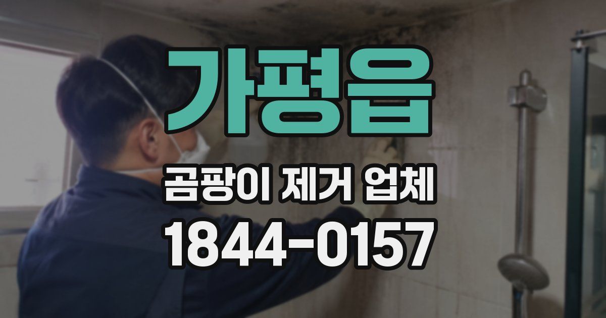 가평읍 곰팡이 제거 업체