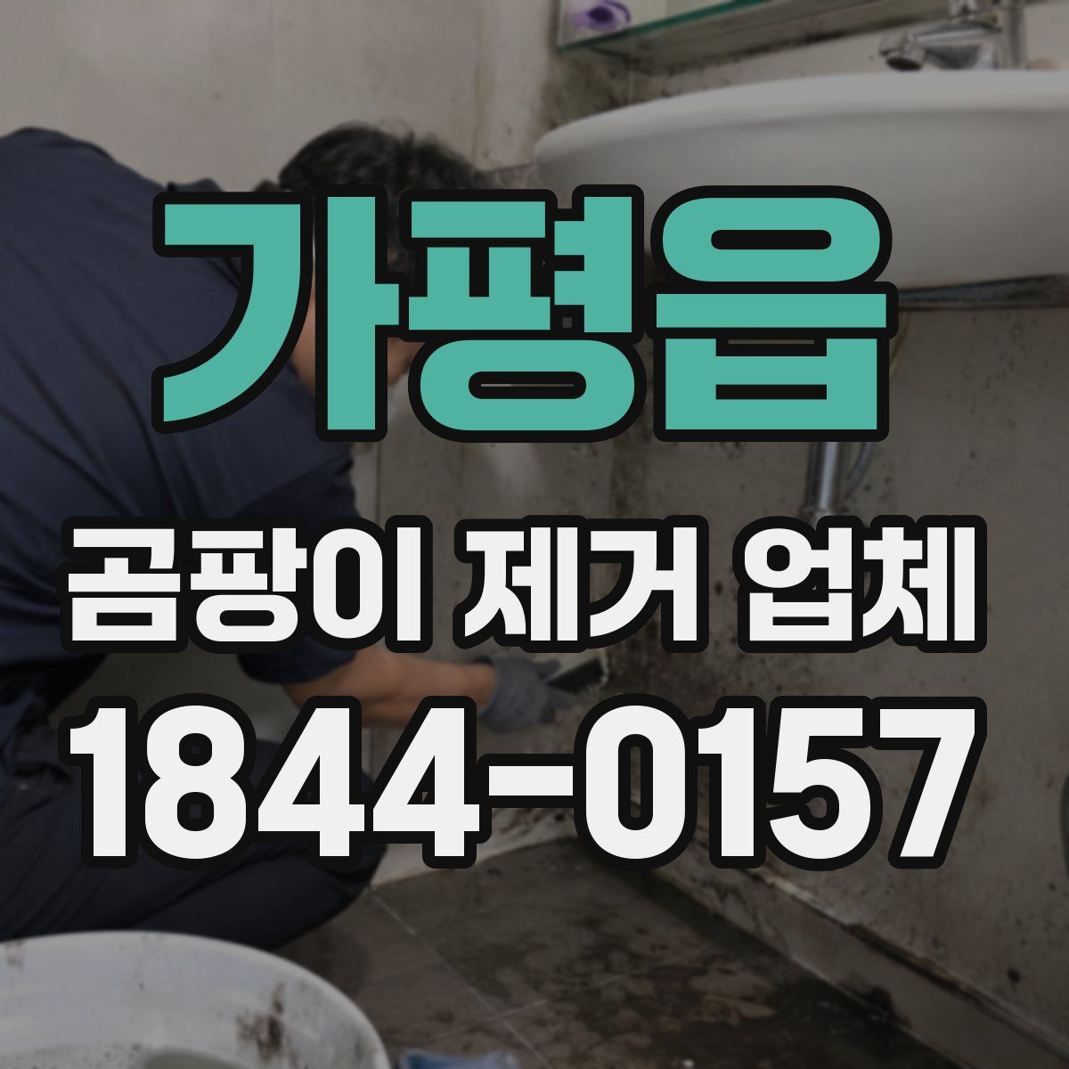 가평읍 곰팡이 제거 업체
