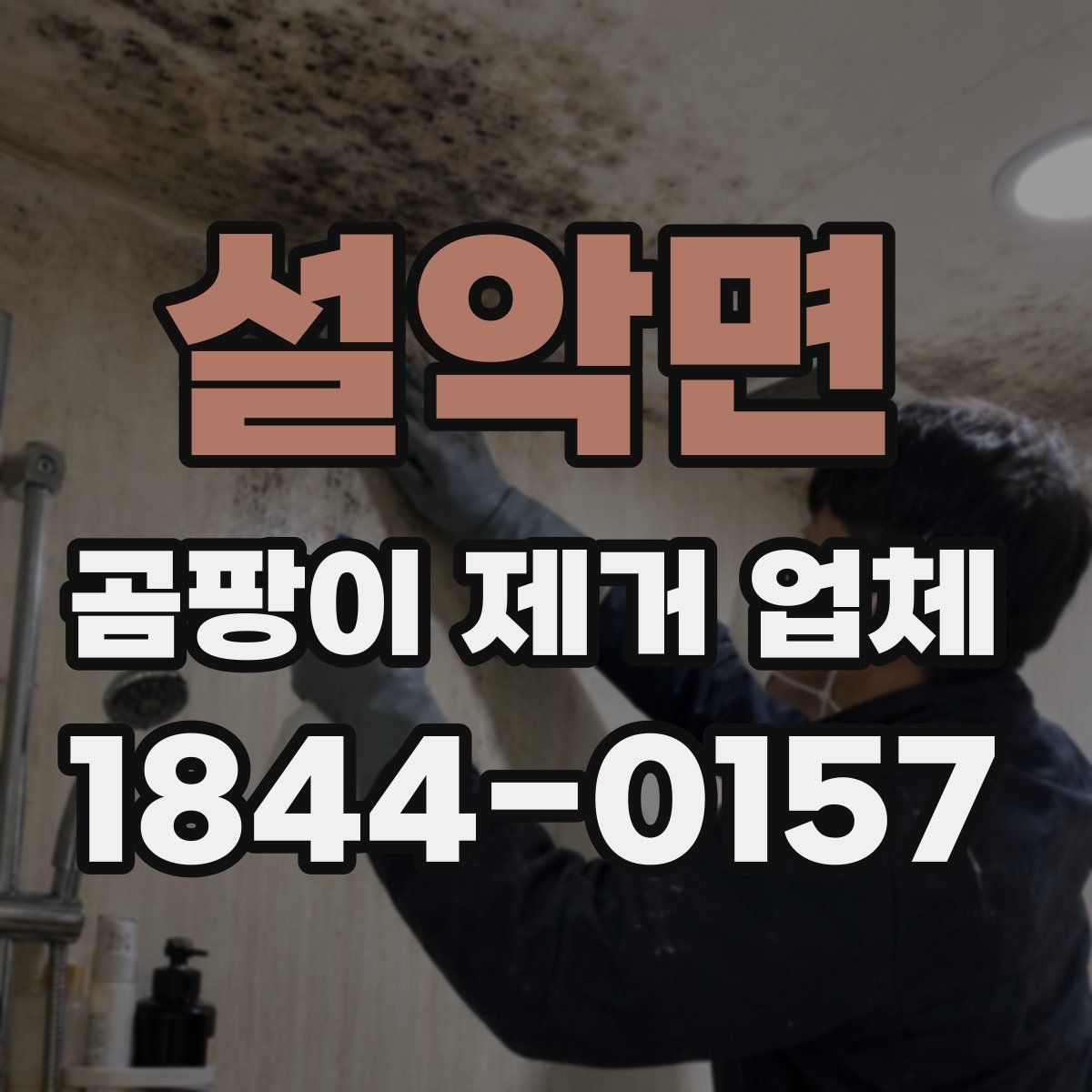 설악면 곰팡이 제거 업체
