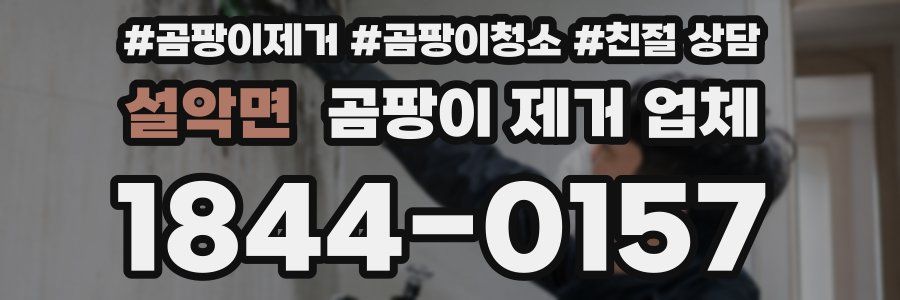 설악면 곰팡이 제거 업체