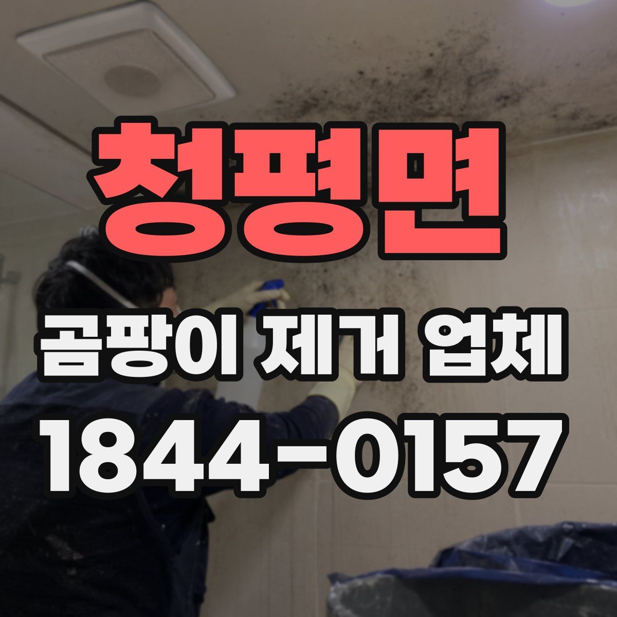 청평면 곰팡이 제거 업체