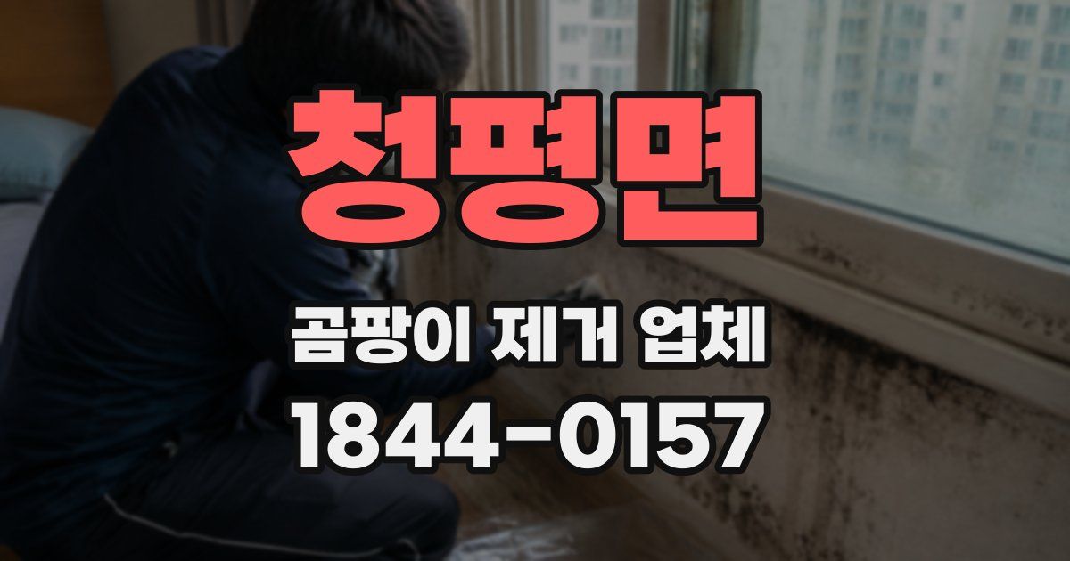 청평면 곰팡이 제거 업체