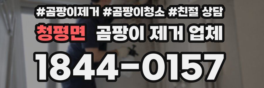 청평면 곰팡이 제거 업체