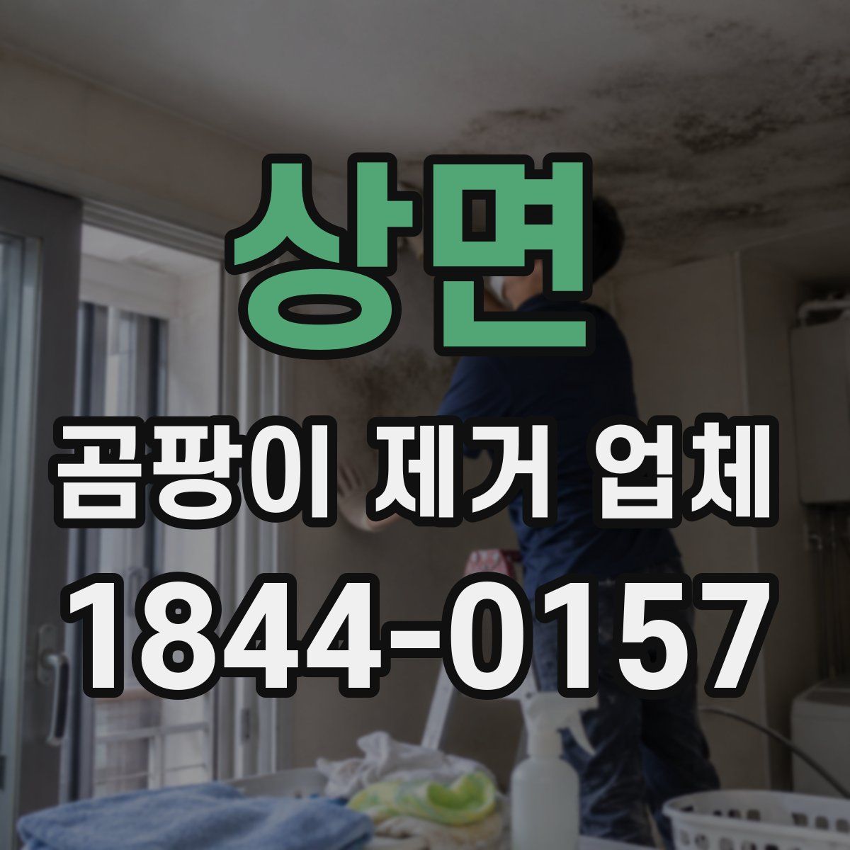 상면 곰팡이 제거 업체