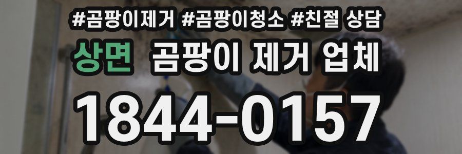 상면 곰팡이 제거 업체