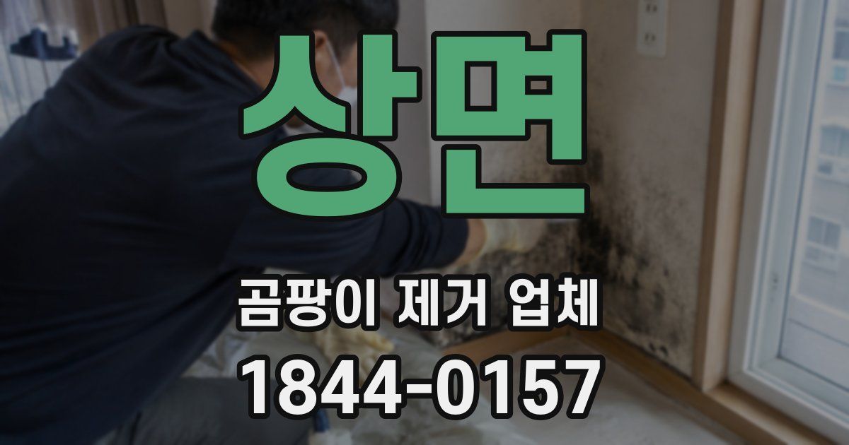 상면 곰팡이 제거 업체