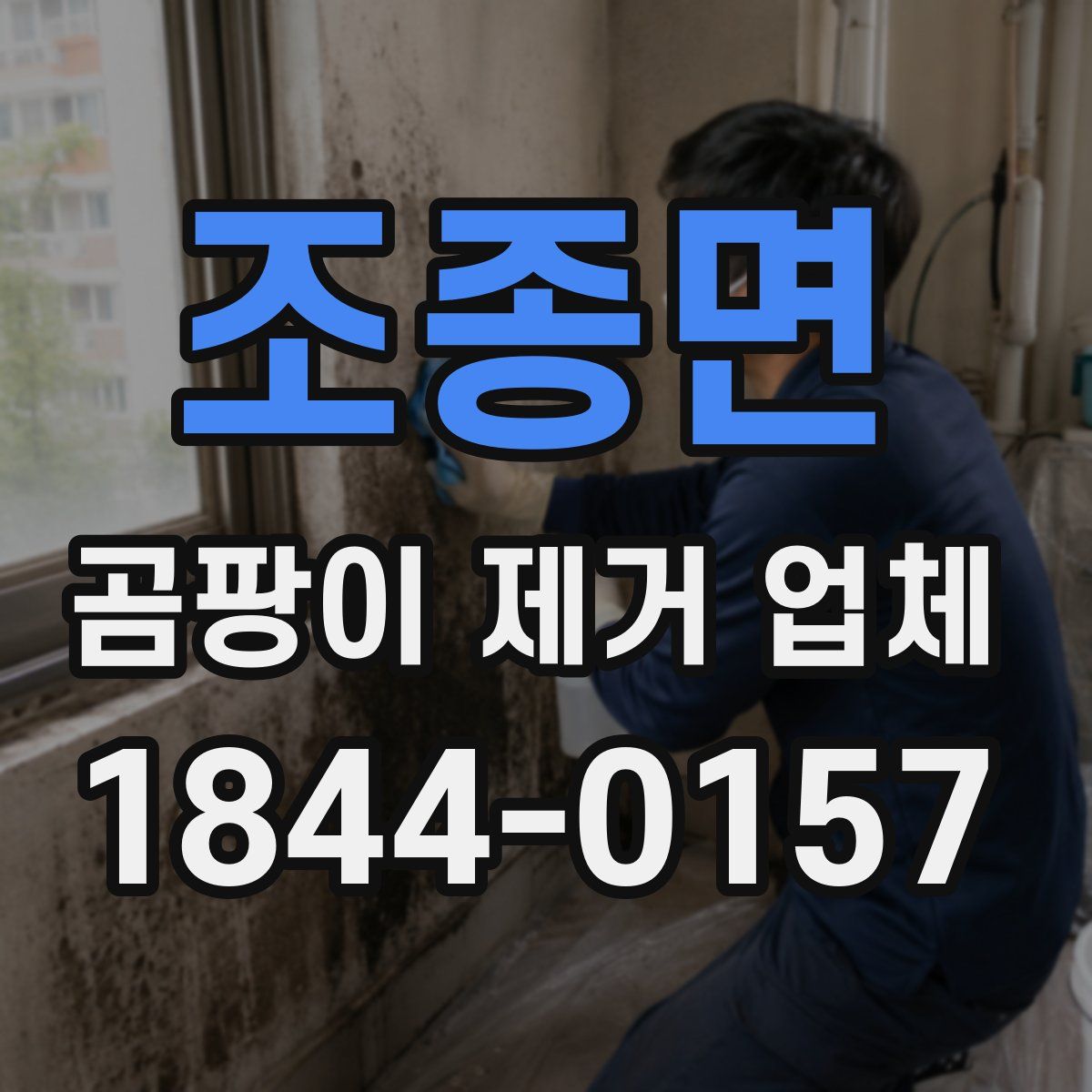 조종면 곰팡이 제거 업체