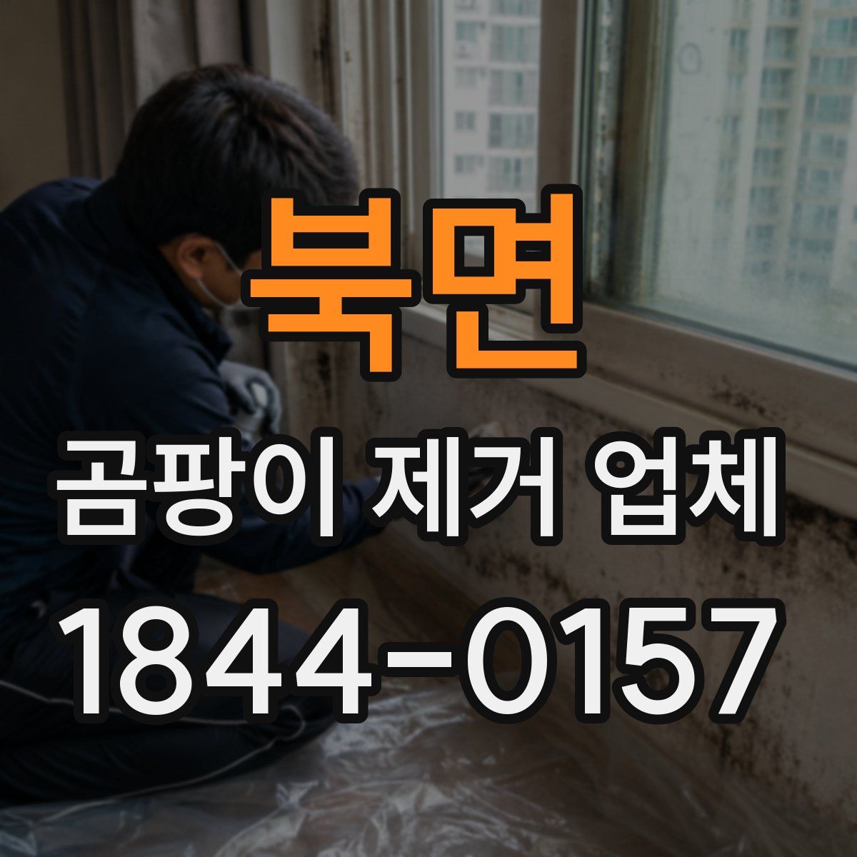북면 곰팡이 제거 업체