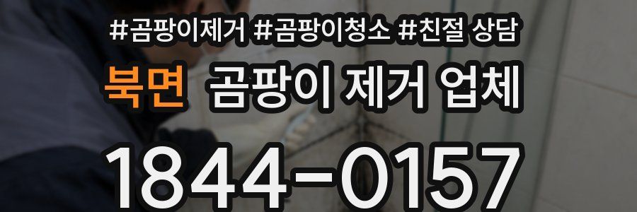 북면 곰팡이 제거 업체