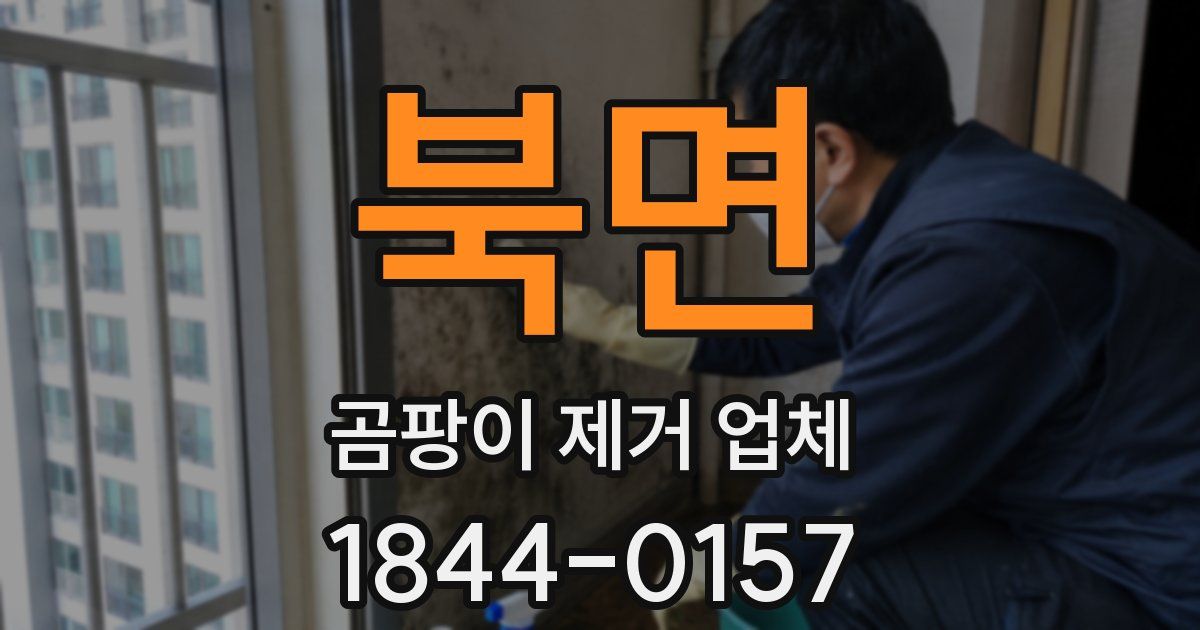 북면 곰팡이 제거 업체