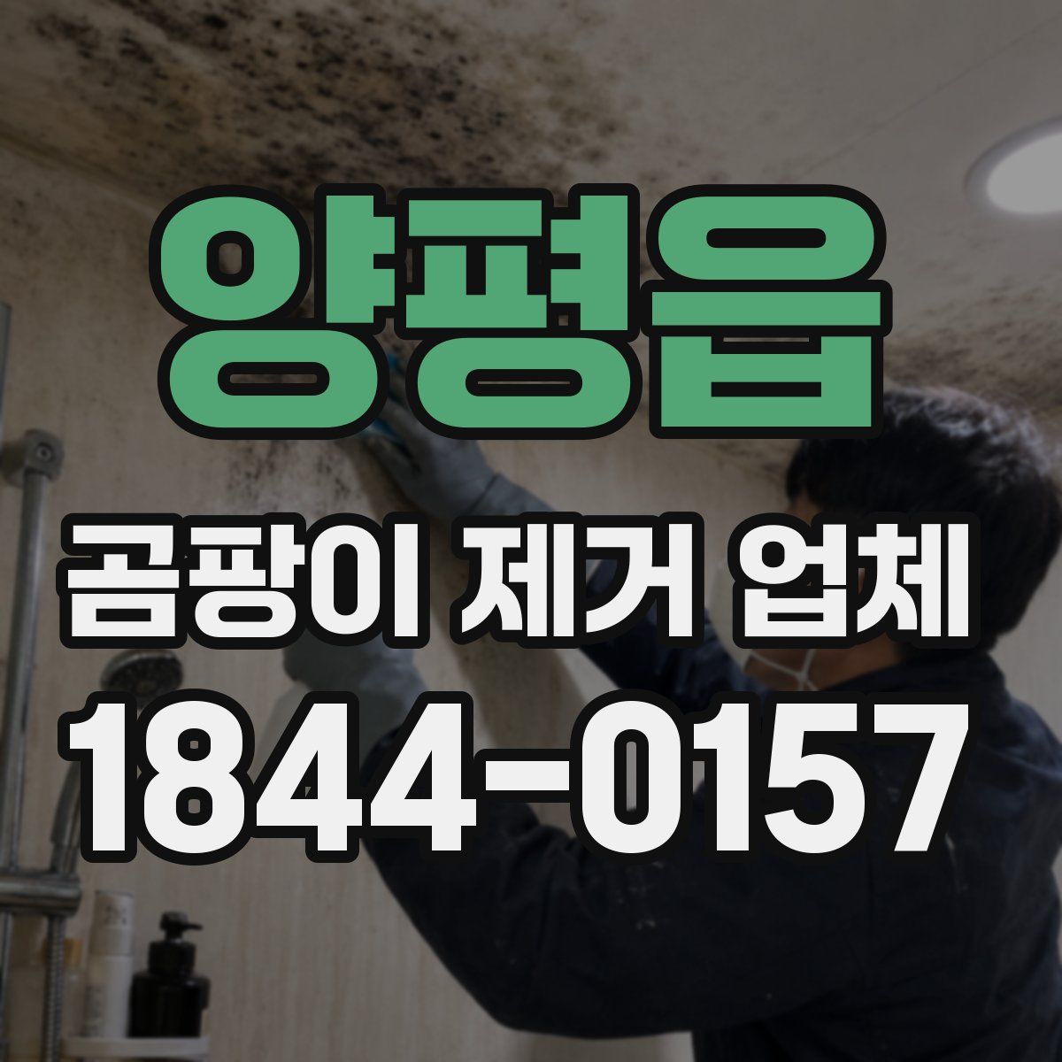 양평읍 곰팡이 제거 업체