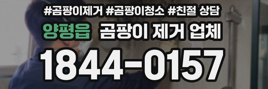 양평읍 곰팡이 제거 업체