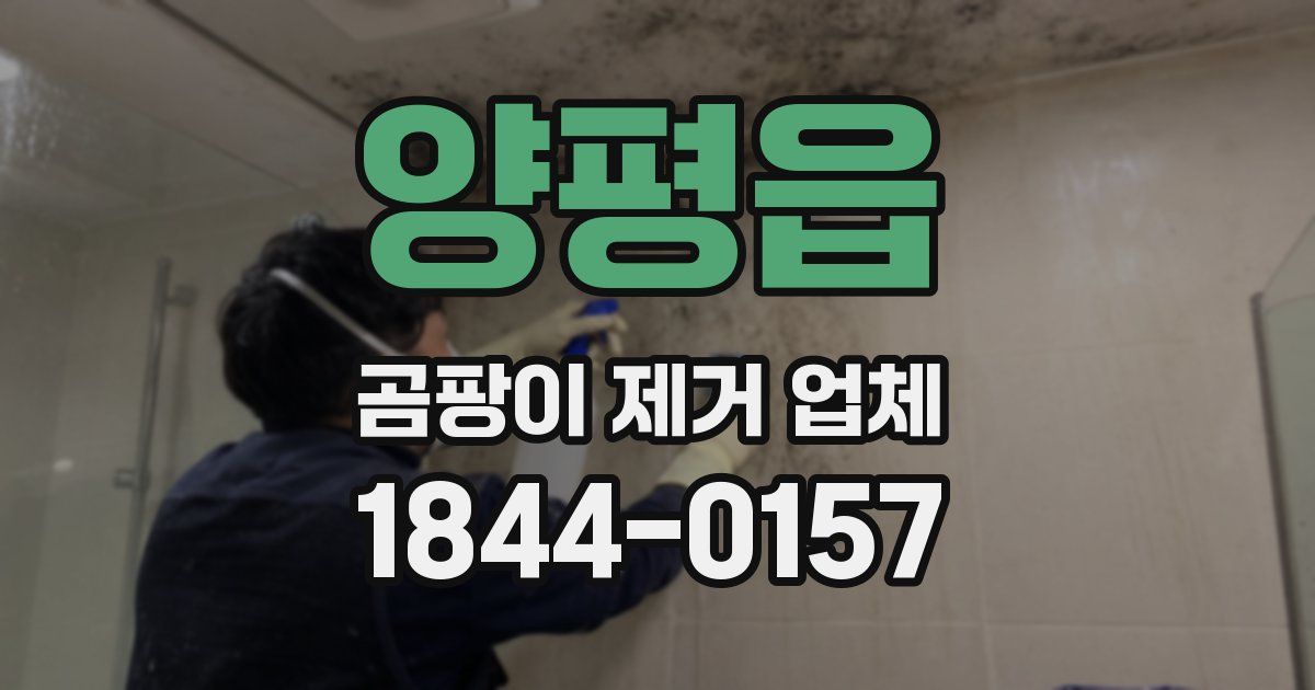 양평읍 곰팡이 제거 업체