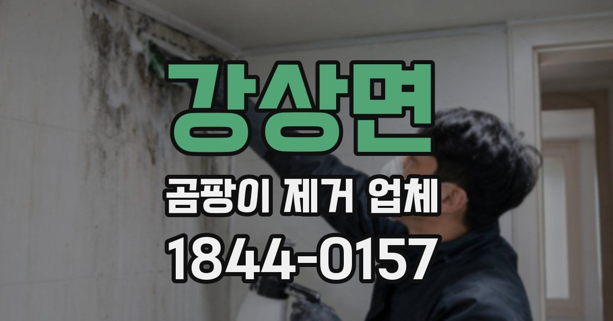 강상면 곰팡이 제거 업체