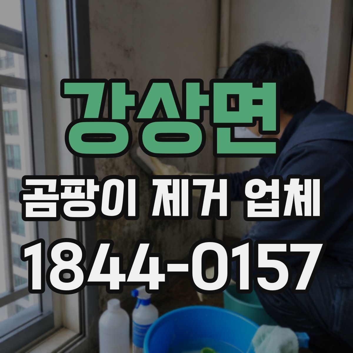 강상면 곰팡이 제거 업체