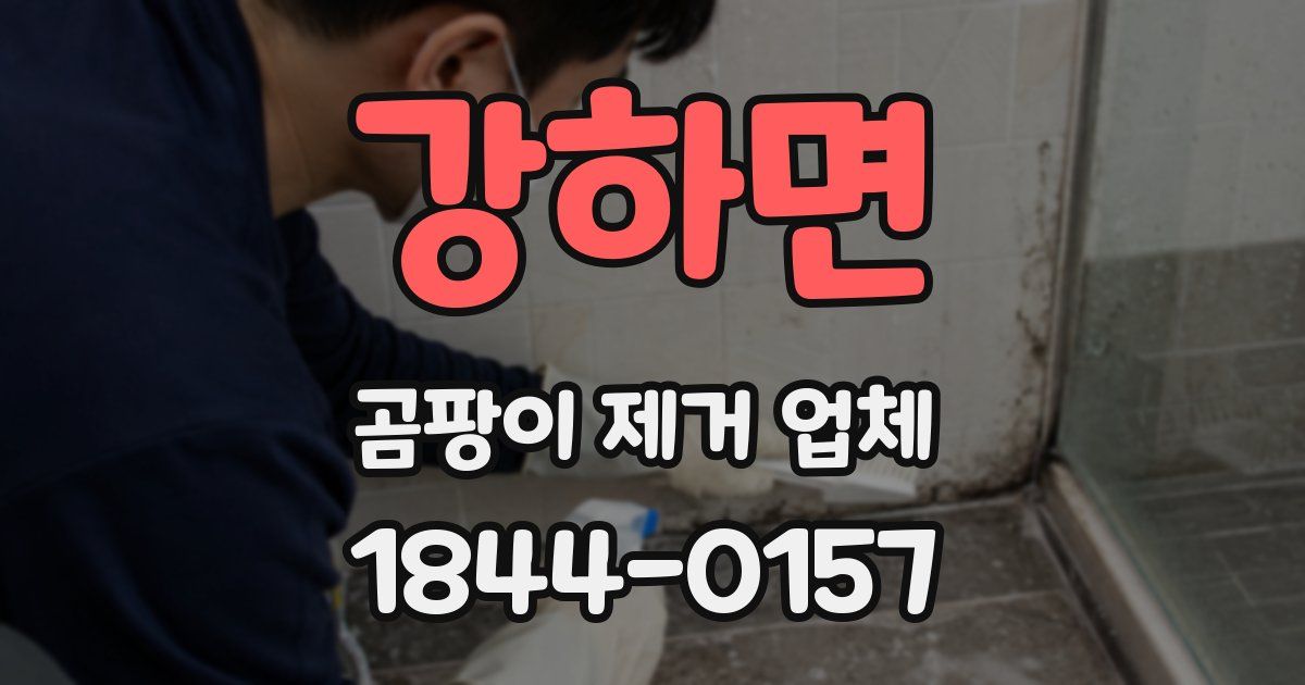 강하면 곰팡이 제거 업체