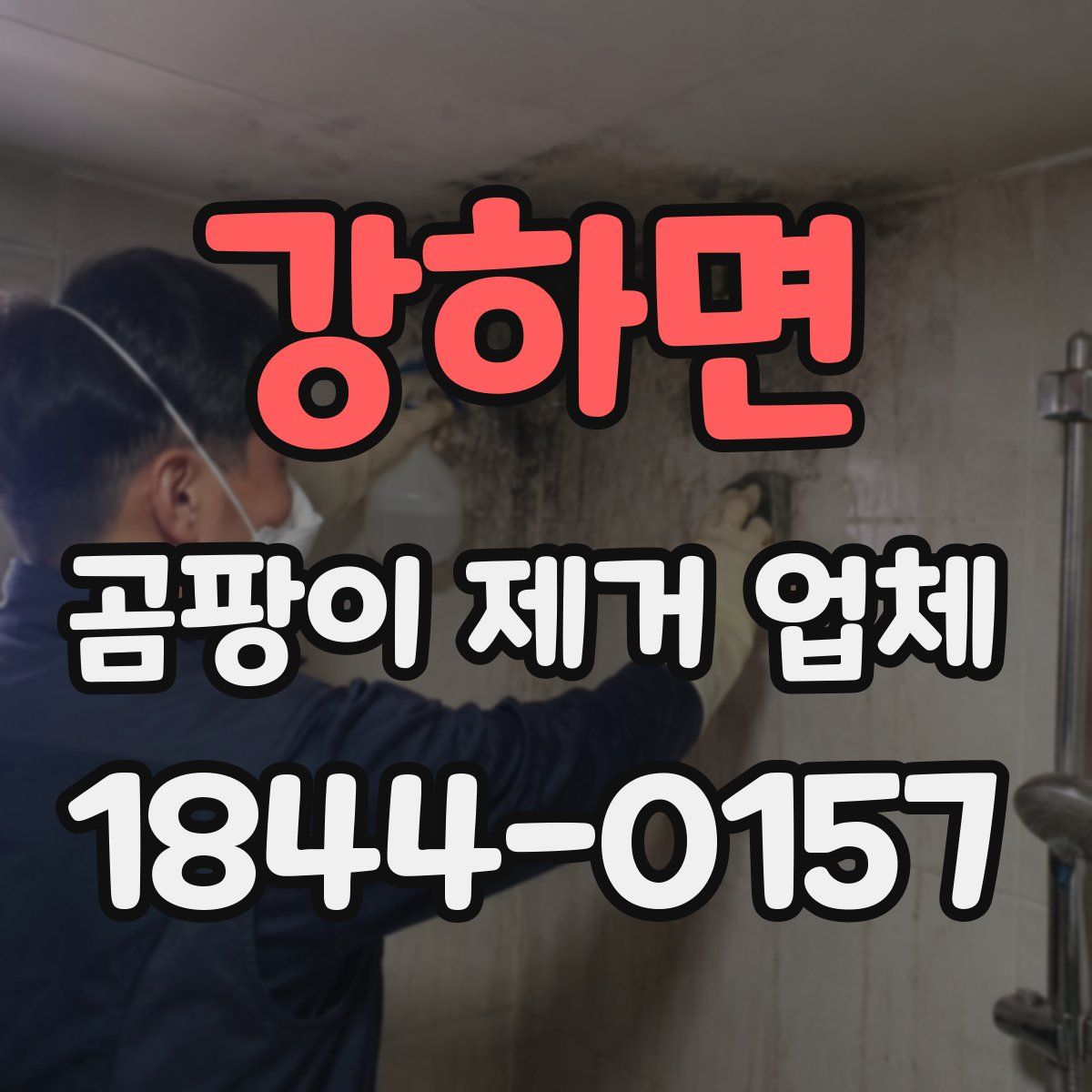 강하면 곰팡이 제거 업체