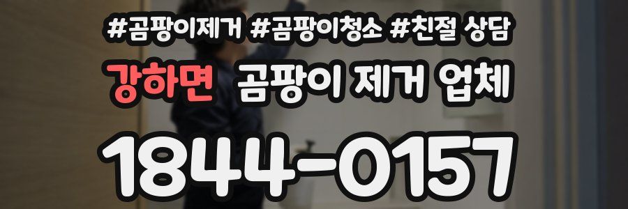 강하면 곰팡이 제거 업체
