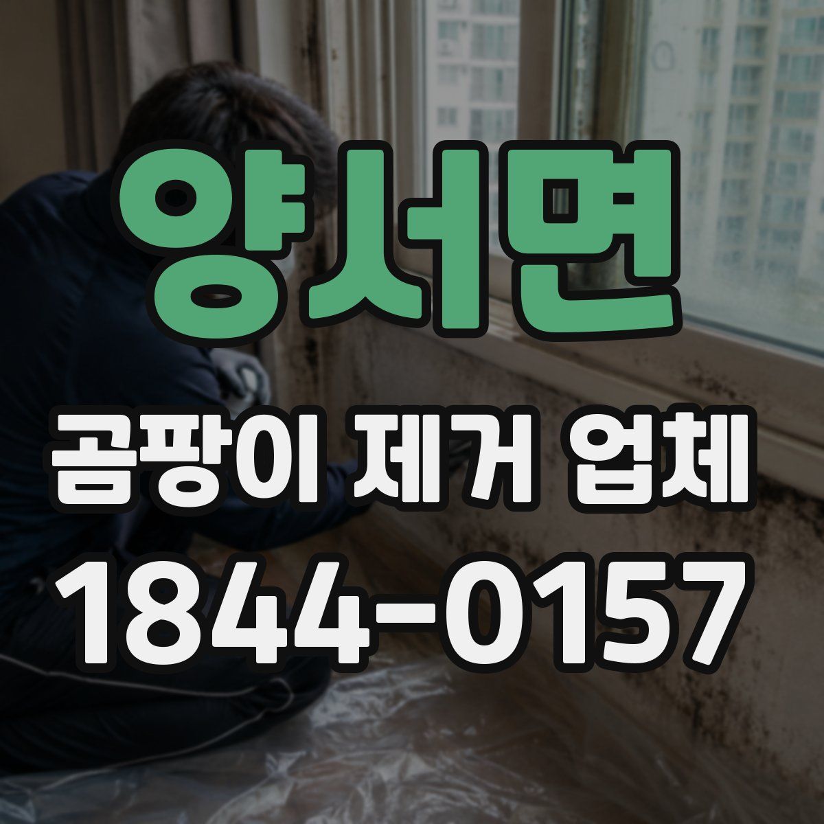 양서면 곰팡이 제거 업체