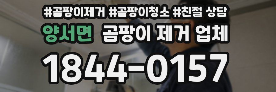 양서면 곰팡이 제거 업체
