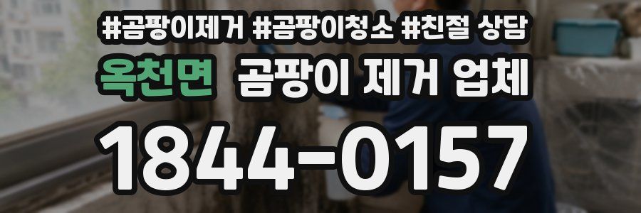 옥천면 곰팡이 제거 업체